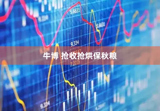 牛博 抢收抢烘保秋粮