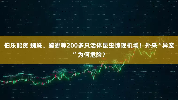 伯乐配资 蜘蛛、螳螂等200多只活体昆虫惊现机场！外来“异宠”为何危险？