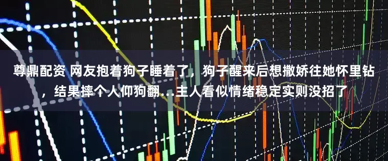 尊鼎配资 网友抱着狗子睡着了，狗子醒来后想撒娇往她怀里钻，结果摔个人仰狗翻…主人看似情绪稳定实则没招了